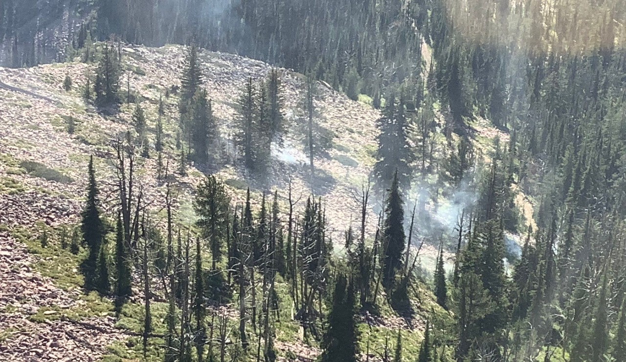 Mineral Peak Fire