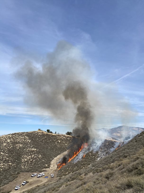CONTROLLED BURN 7 11-18-21.jfif