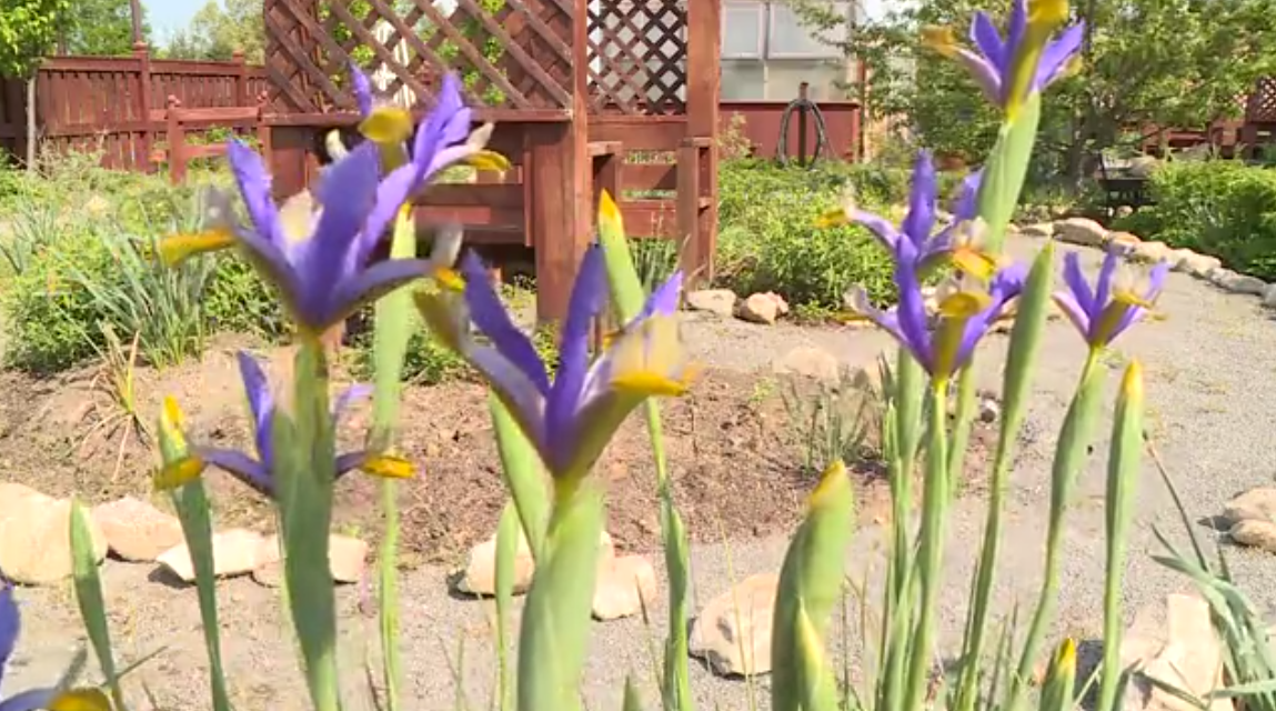St. Joseph's Villa Garden.png
