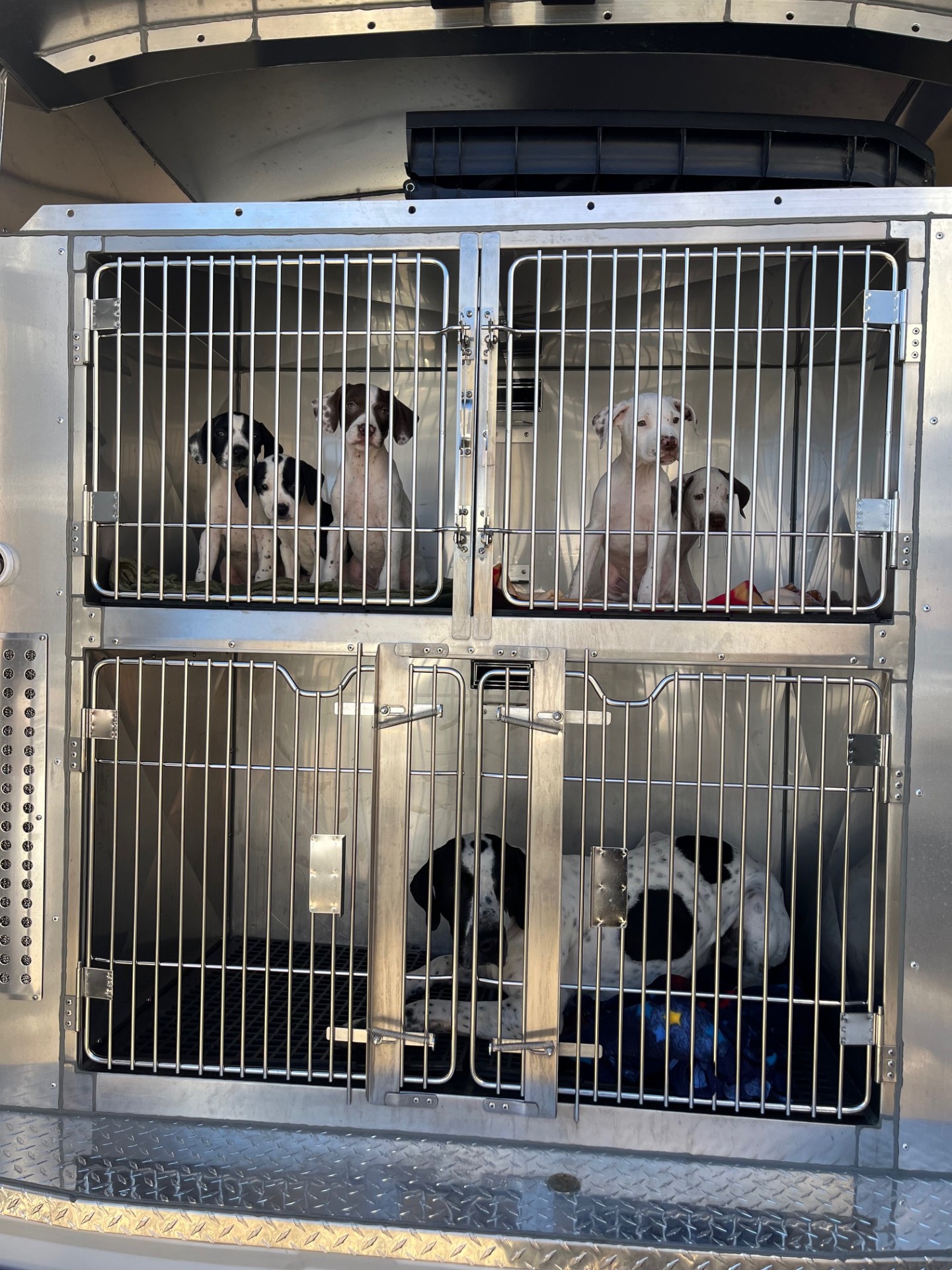 Boise Humane Society 