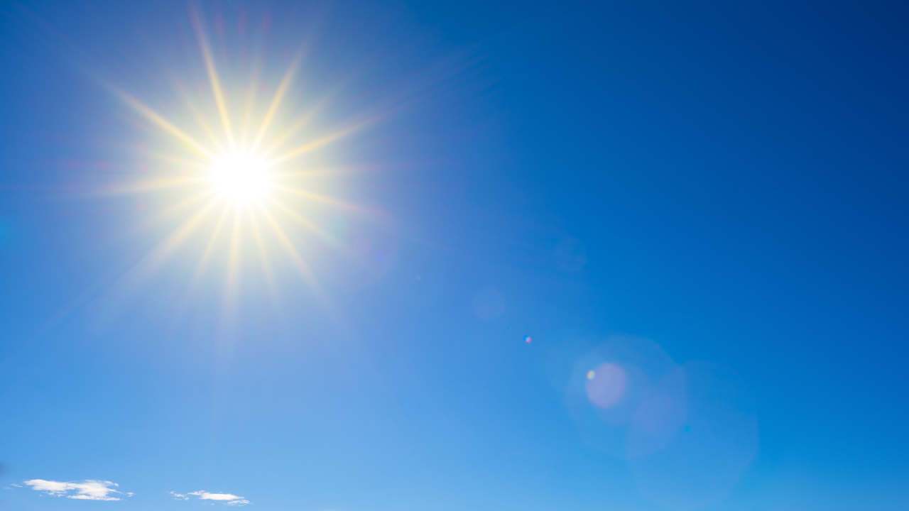 generic sun CANVA.png