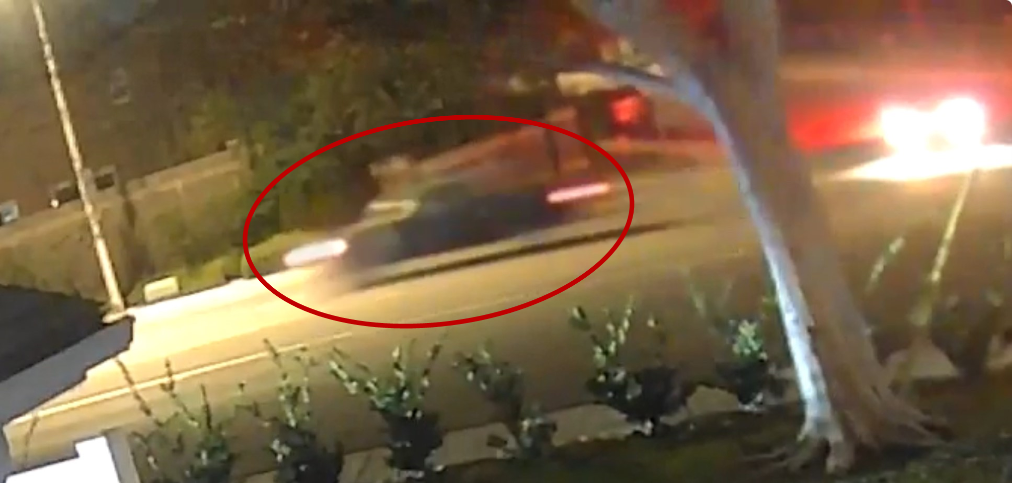 hit and run suspect truck 1-25-25