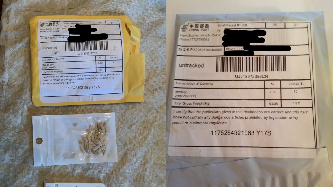 Some of the mysterious seeds mailed to Americans from China have been identified