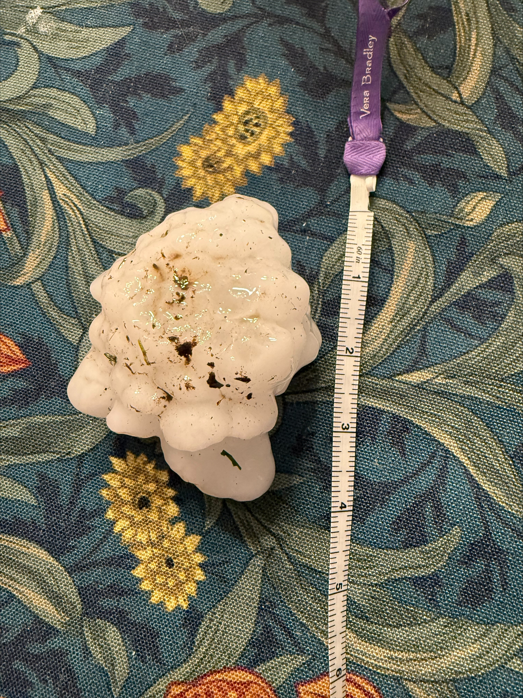 Lake Waukomis, Mo_Abbie Henry.jpeg