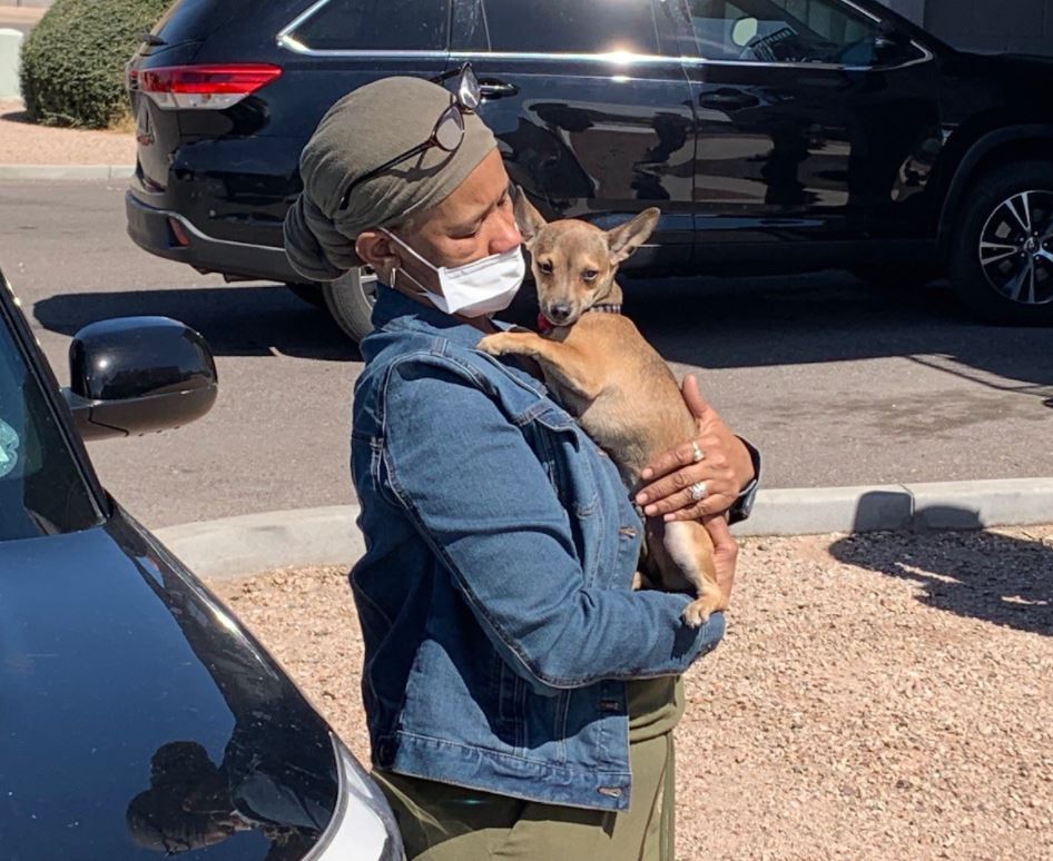 Dogs rescued from house fire near 44th St and McDowell Rd