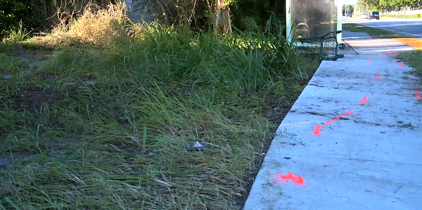 Scene of fatal hit-and-run of pedestrian near bus stop in Delray Beach. Nov. 12, 2023.png