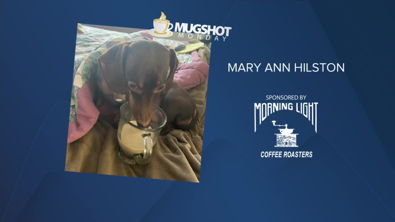 Mug Shot Monday (February 21, 2022)