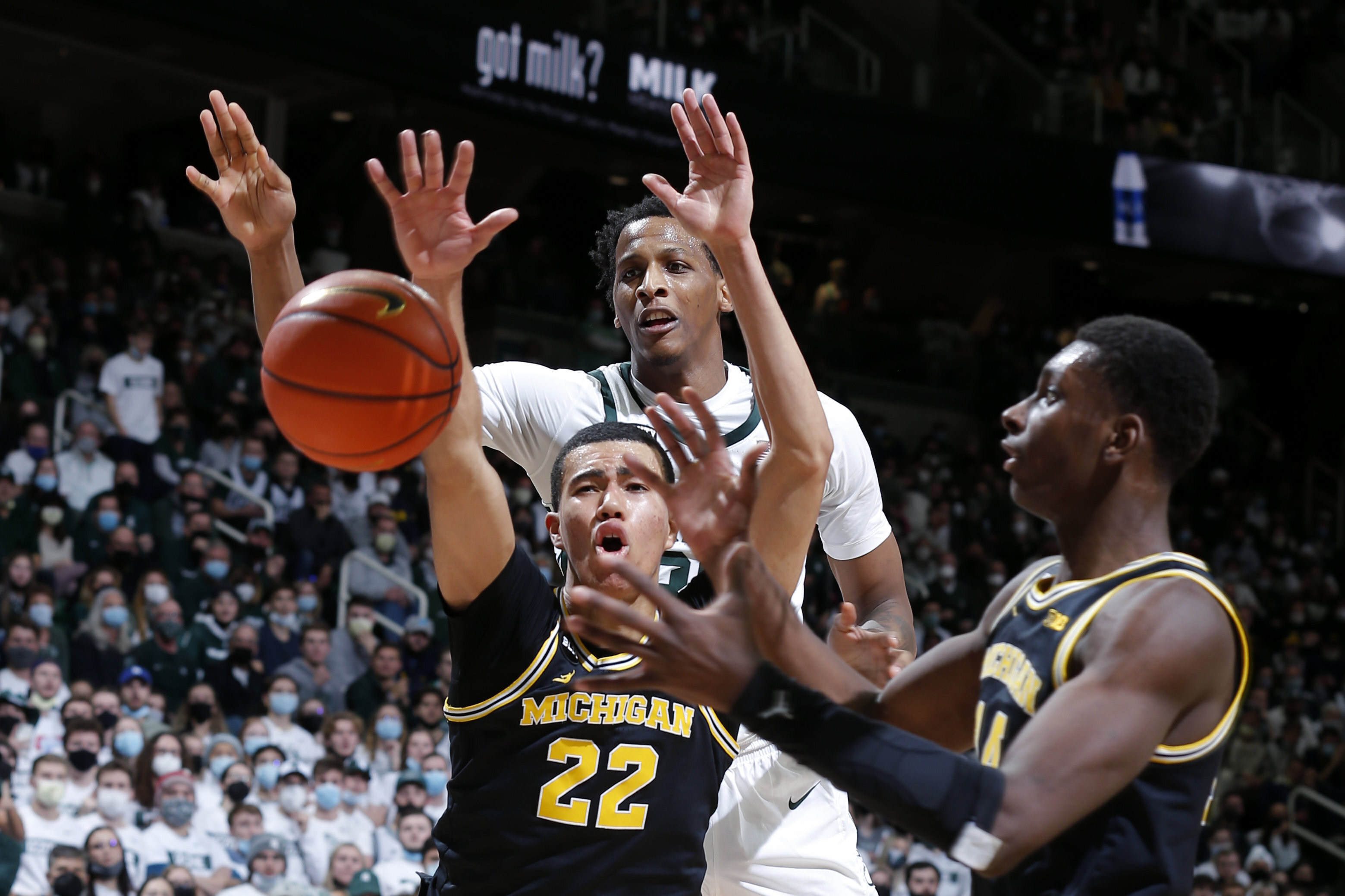 Caleb Houstan, Moussa Diabate, Marcus Bingham Jr.