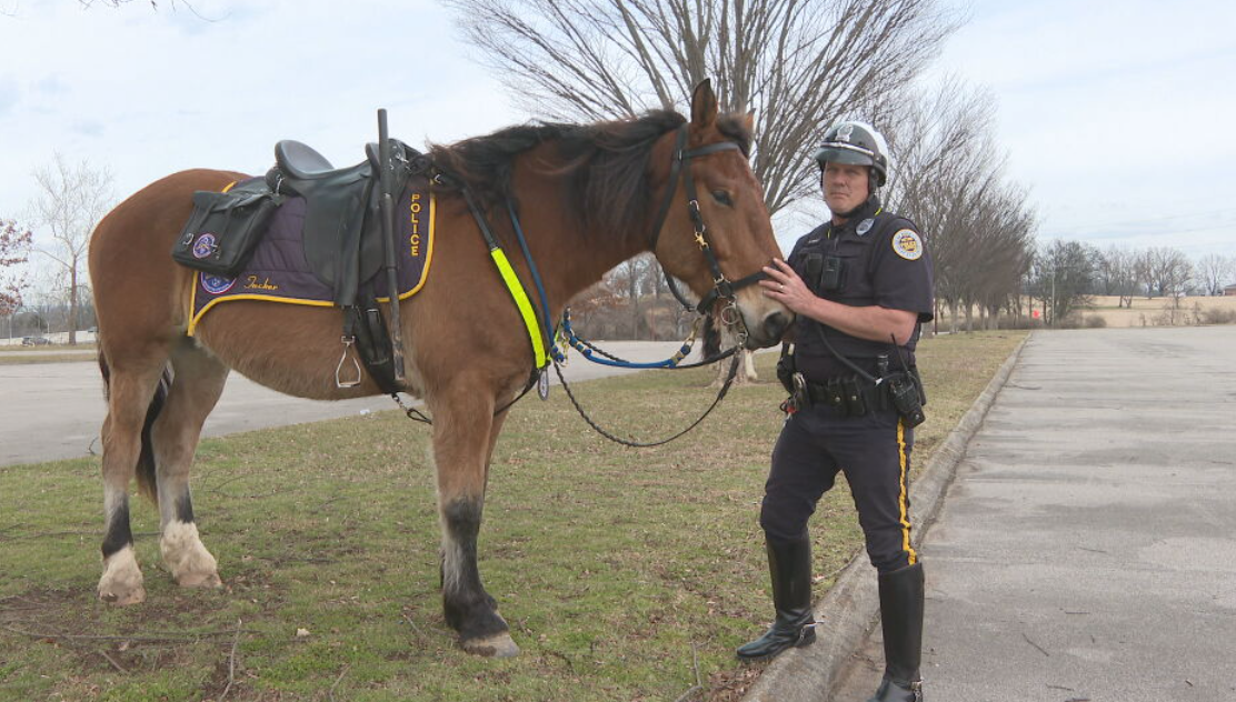Meet the MNPD officer who stayed with police horses for 3 days after power went out in stable during ice storm