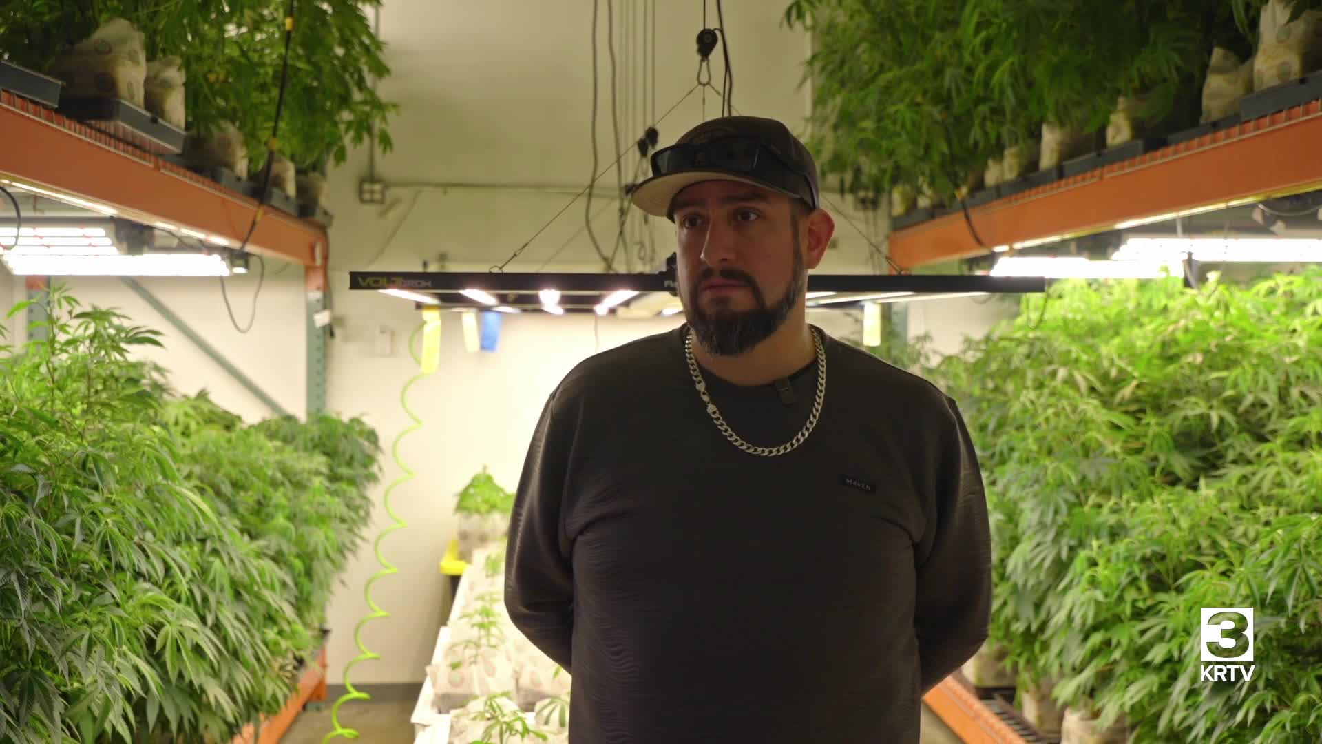 Rescheduling could lead to tax breaks for Montana cannabis operations 