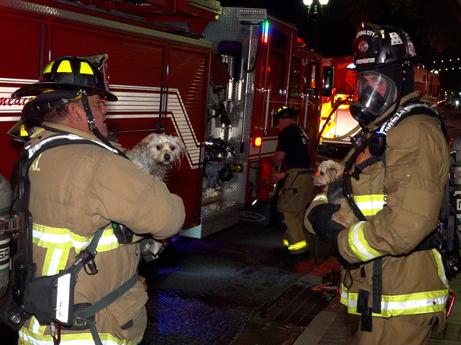national_city_apartment_fire_rescue_041723.jpg