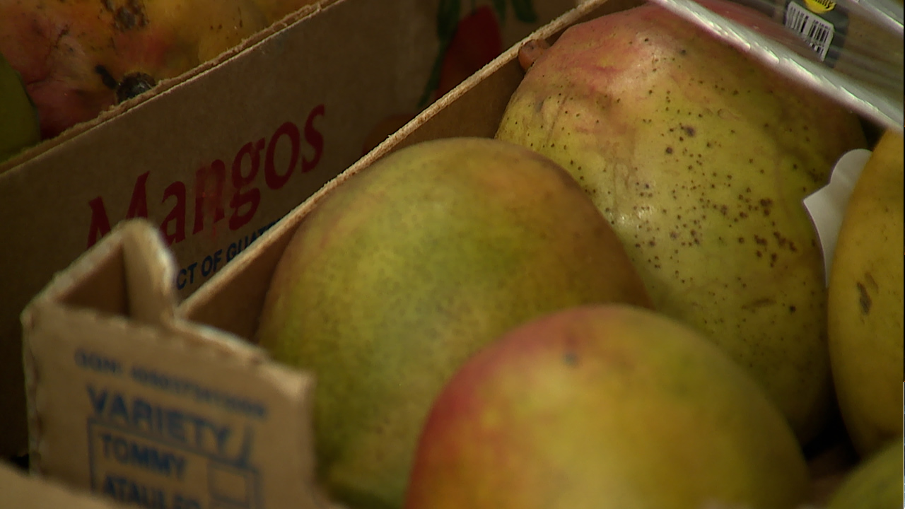 Food Bank of the Rockies in need of donations amid inflation