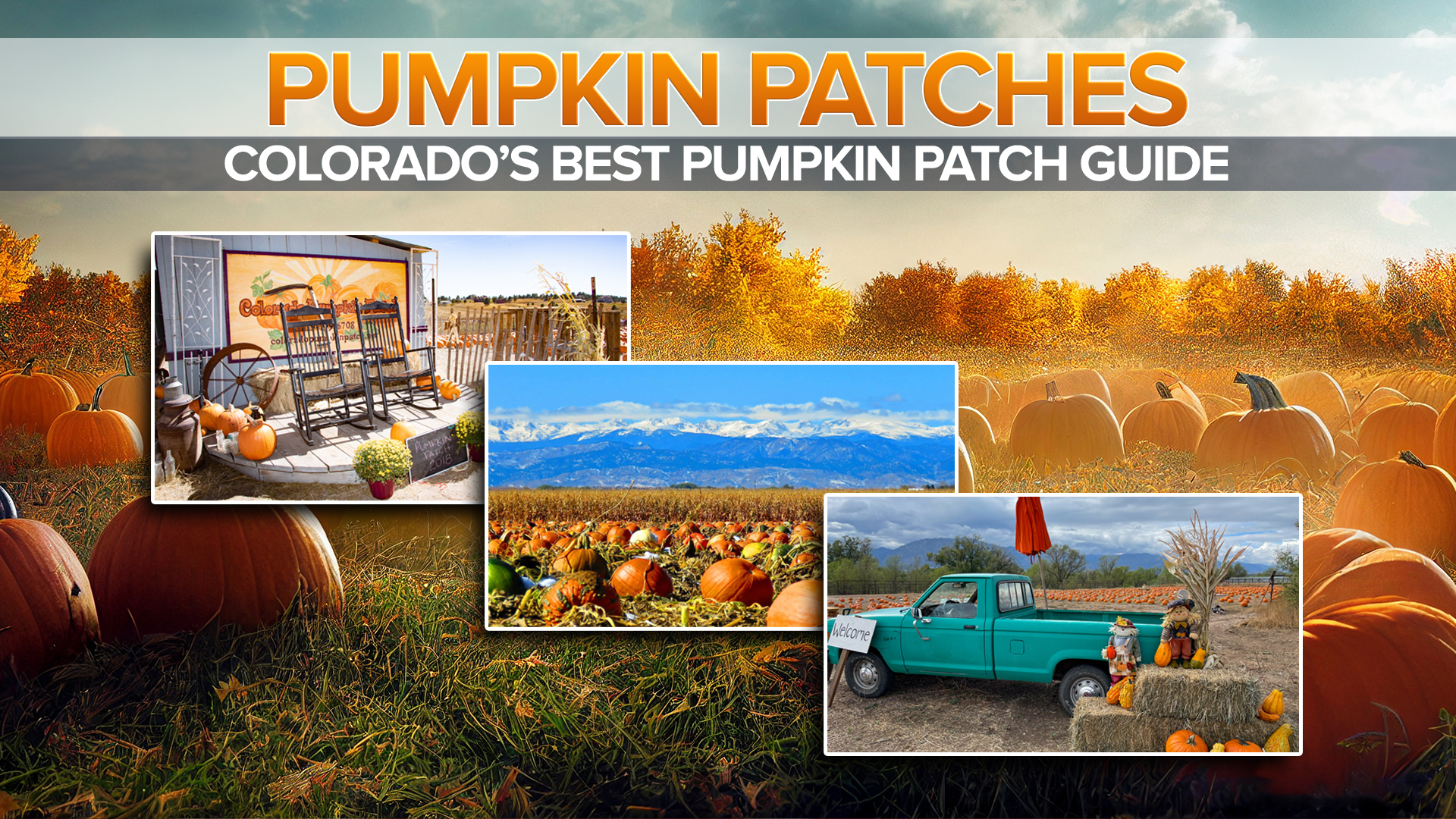 2023 Pumpkin Patch Guide