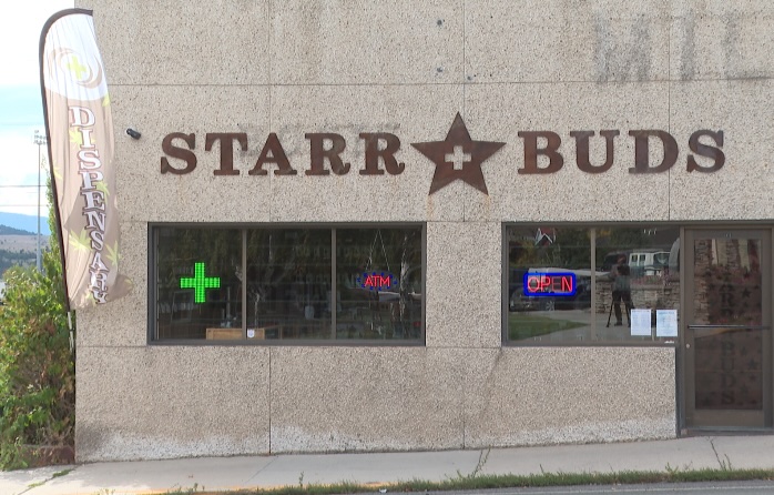 STARR BUDS.jpg
