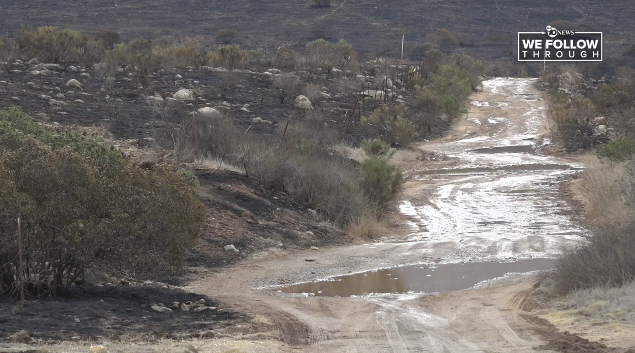 Terrain Otay Mountain post rain and Border 2 Fire