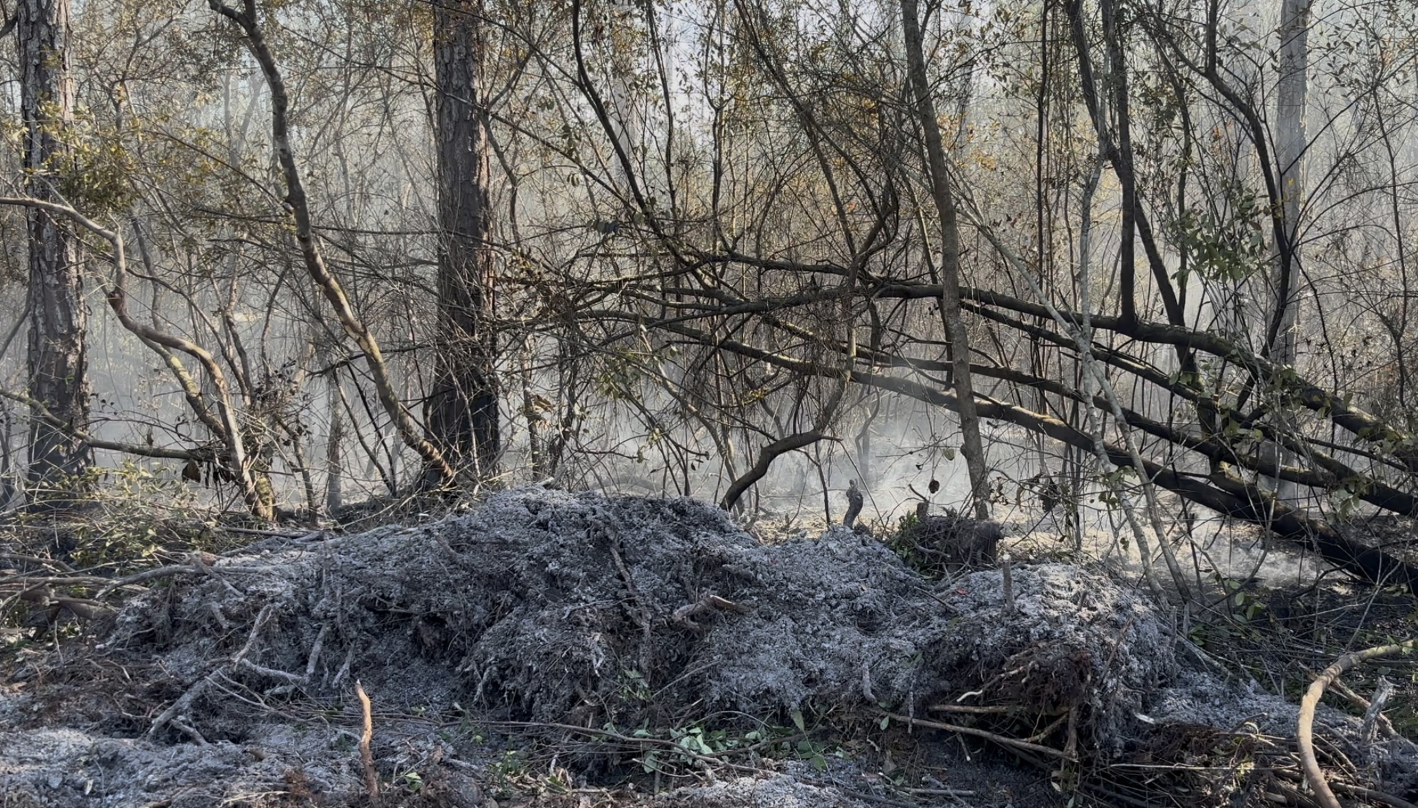 liberty county wildfire 4072026
