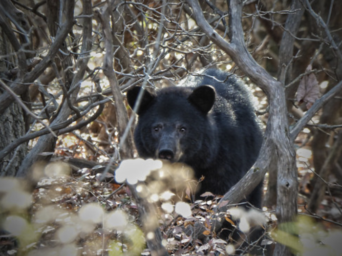 Screen Shot 2022-11-02 at 1.26.07 PM.png