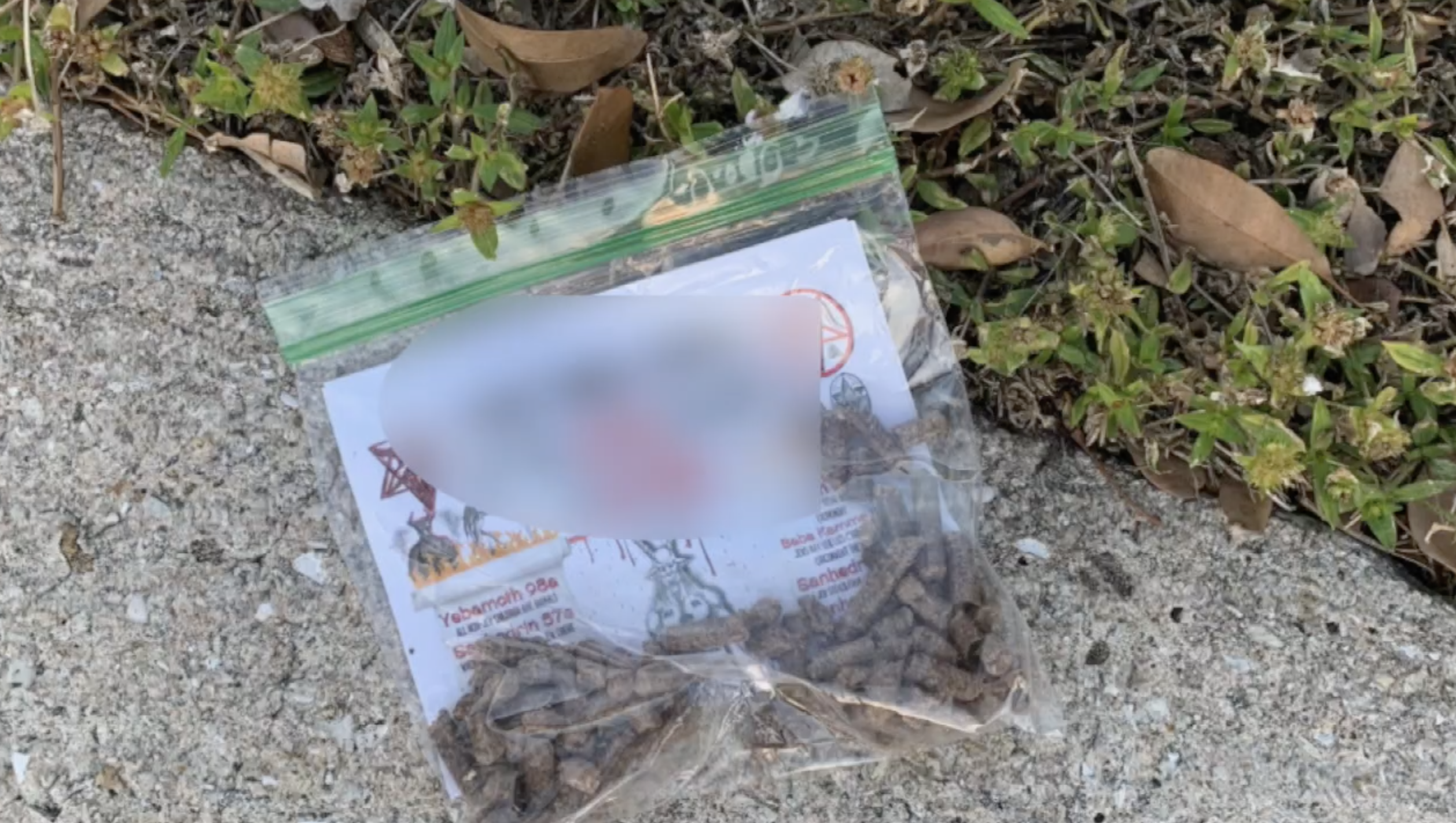 antisemitic packets Boca Raton homes 1142023