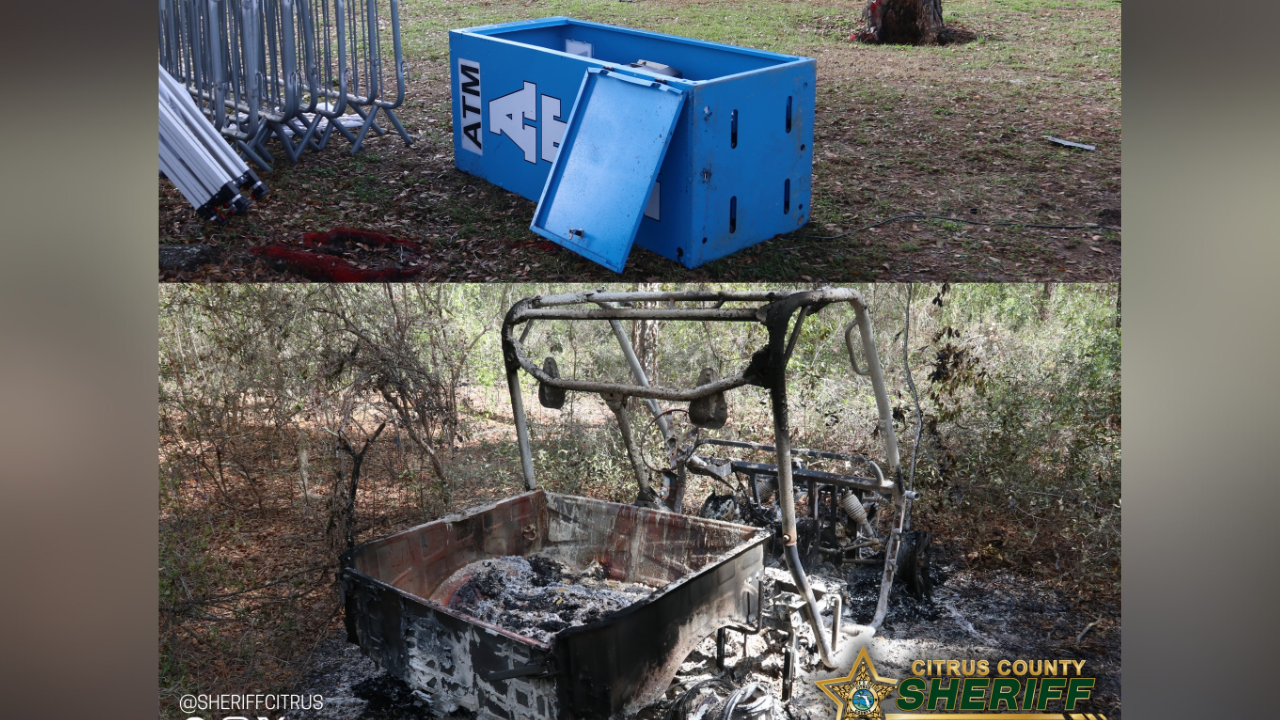 2 teens arrested, charged with burning stolen UTV in Citrus County: CCSO