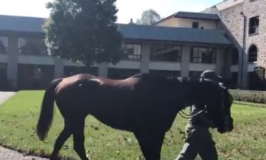 keeneland.JPG