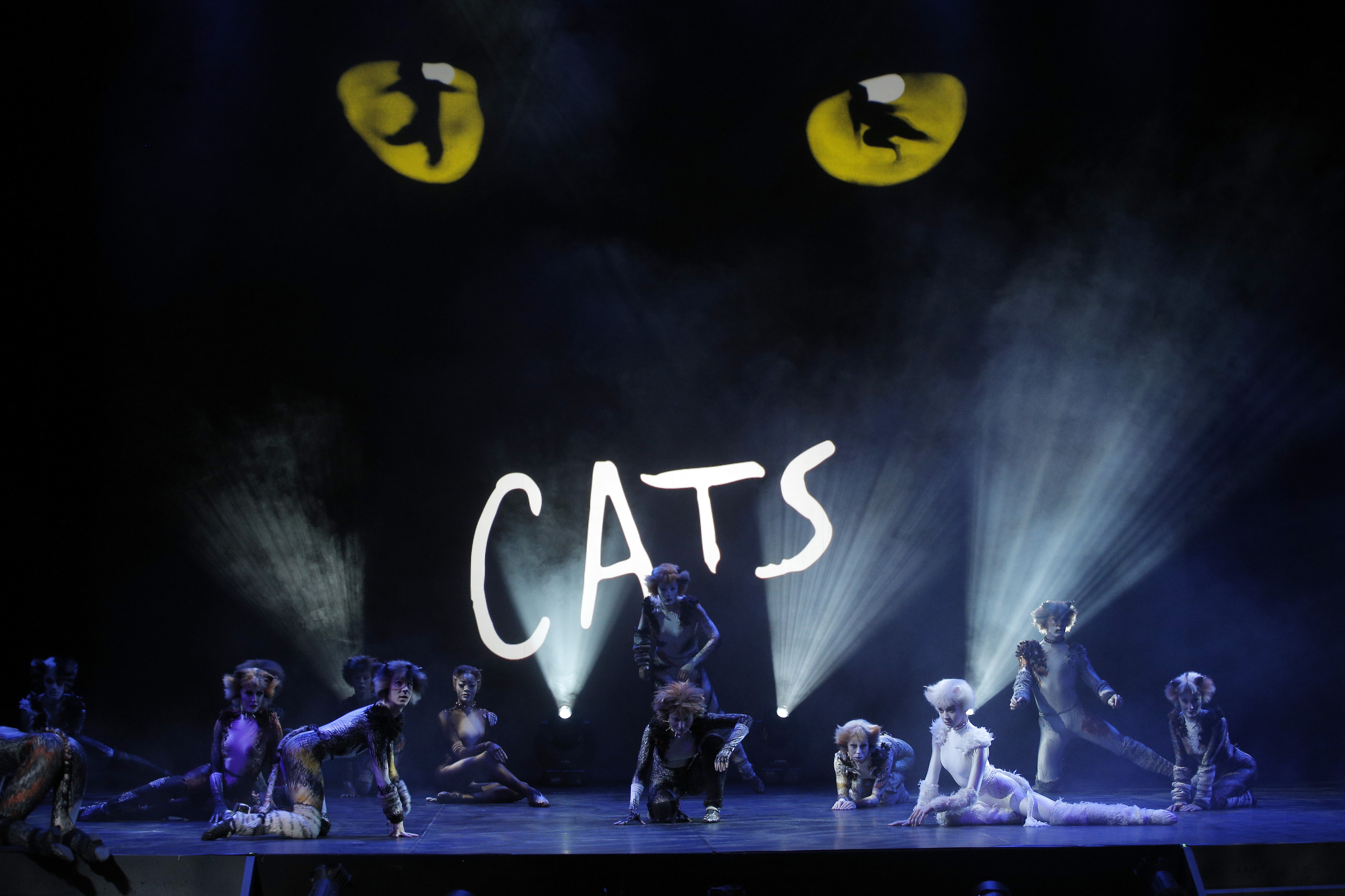 France Cats Musical