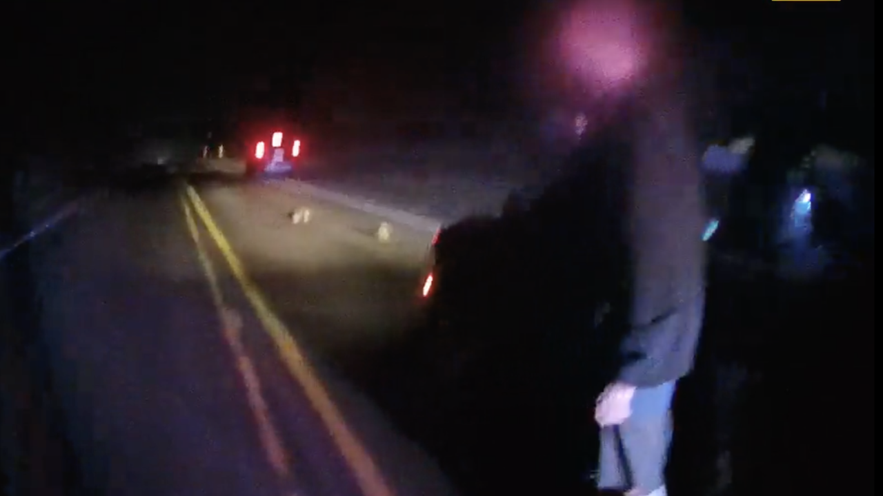 Lowell officer accused of kicking opposum.png