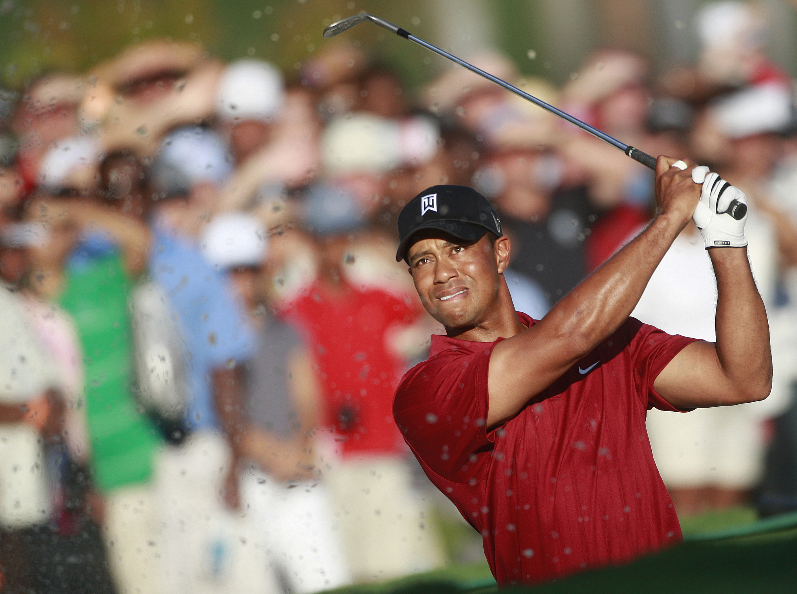 Tiger Woods