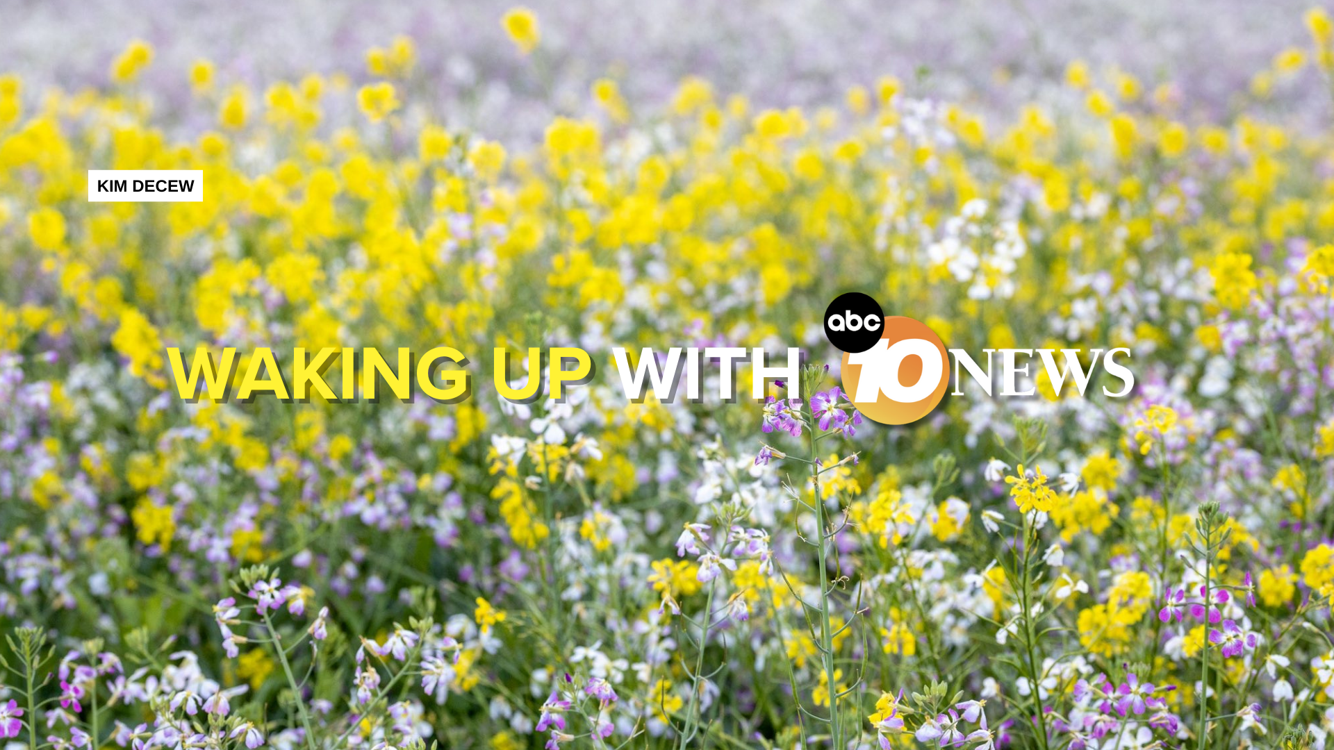 newsletter_san_marcos_wildflowers_kim_decew_041525.png