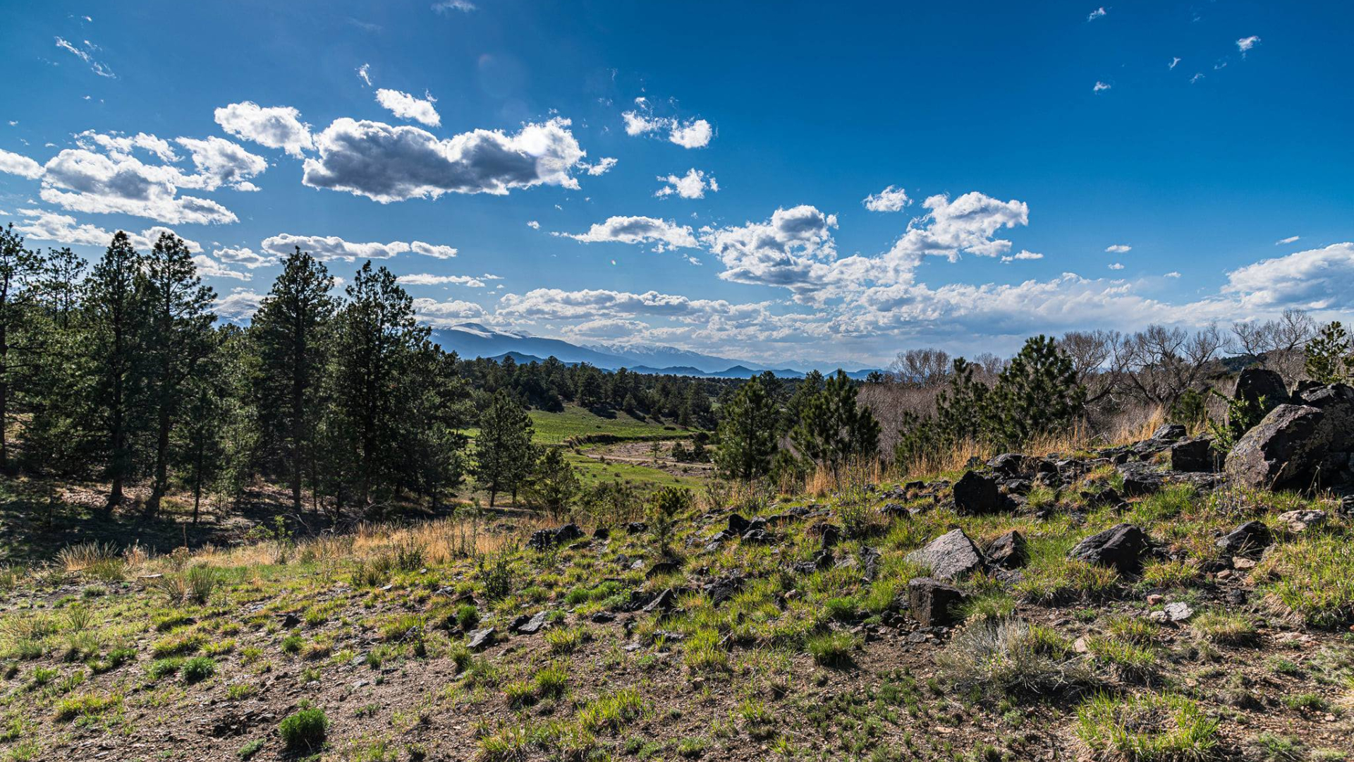 Wet Mountain Valley