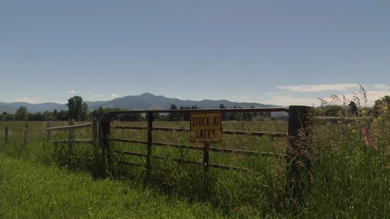 Target Range Development