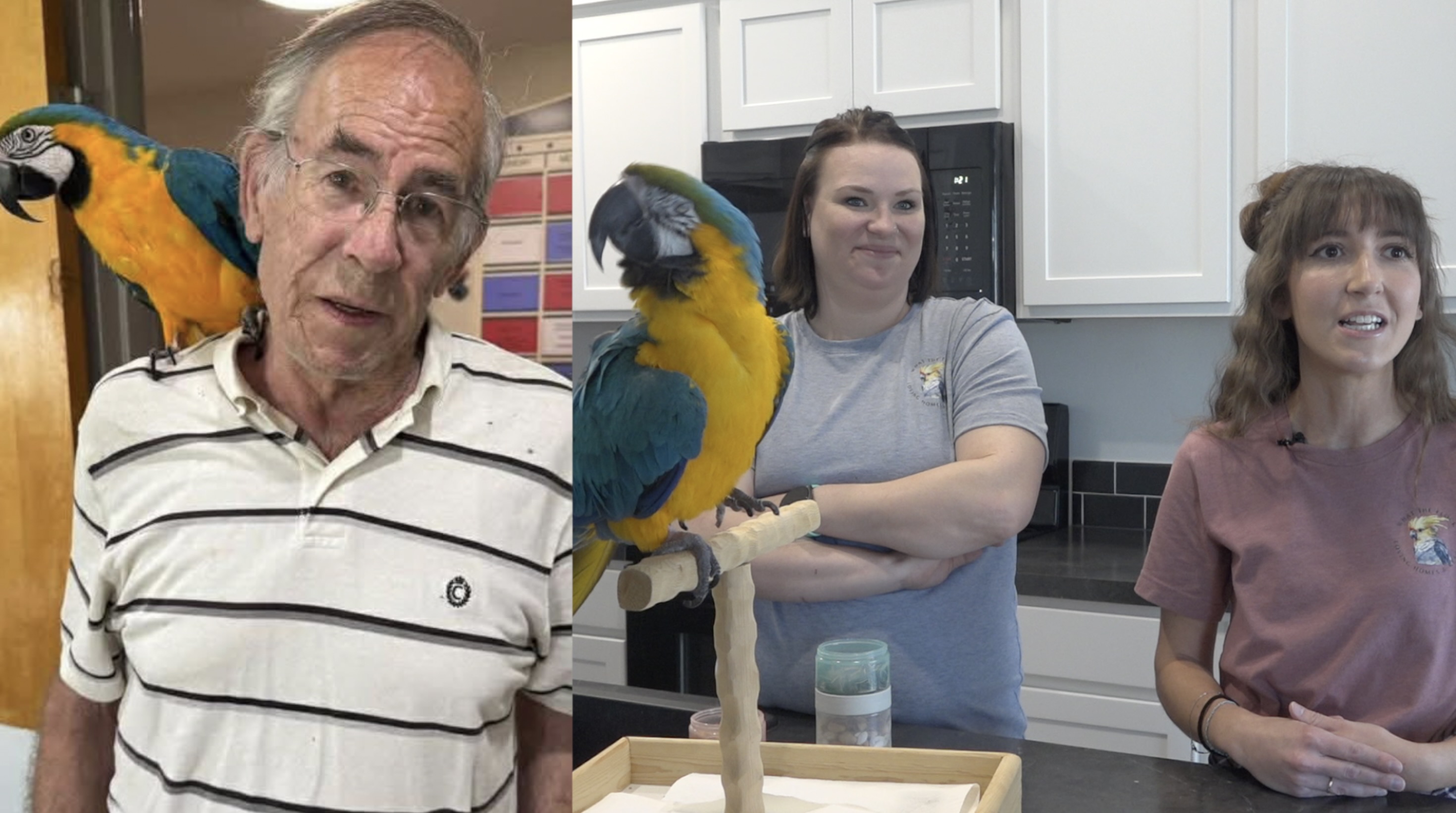 Screenshot 2026-02-26 at 8.25.36 PM.jpeg