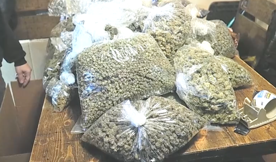 Cannabis.png