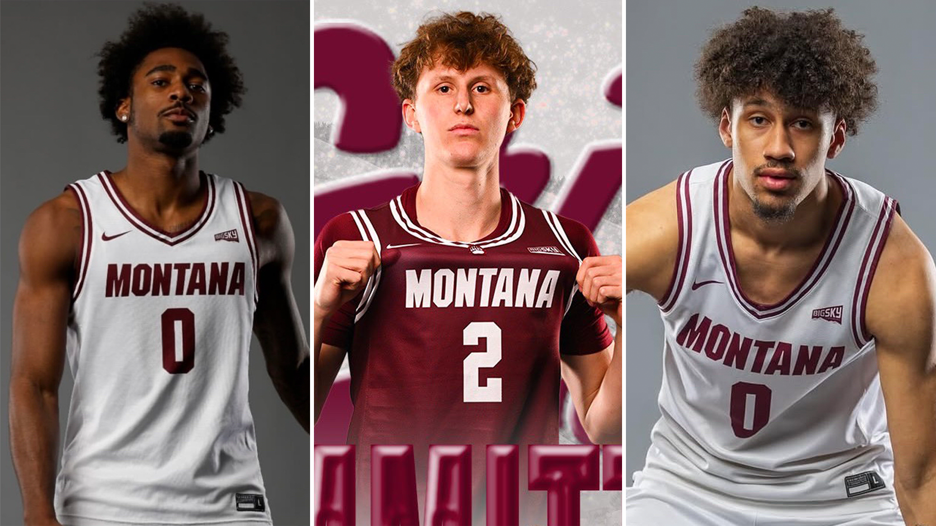 Griz MBB commits.png