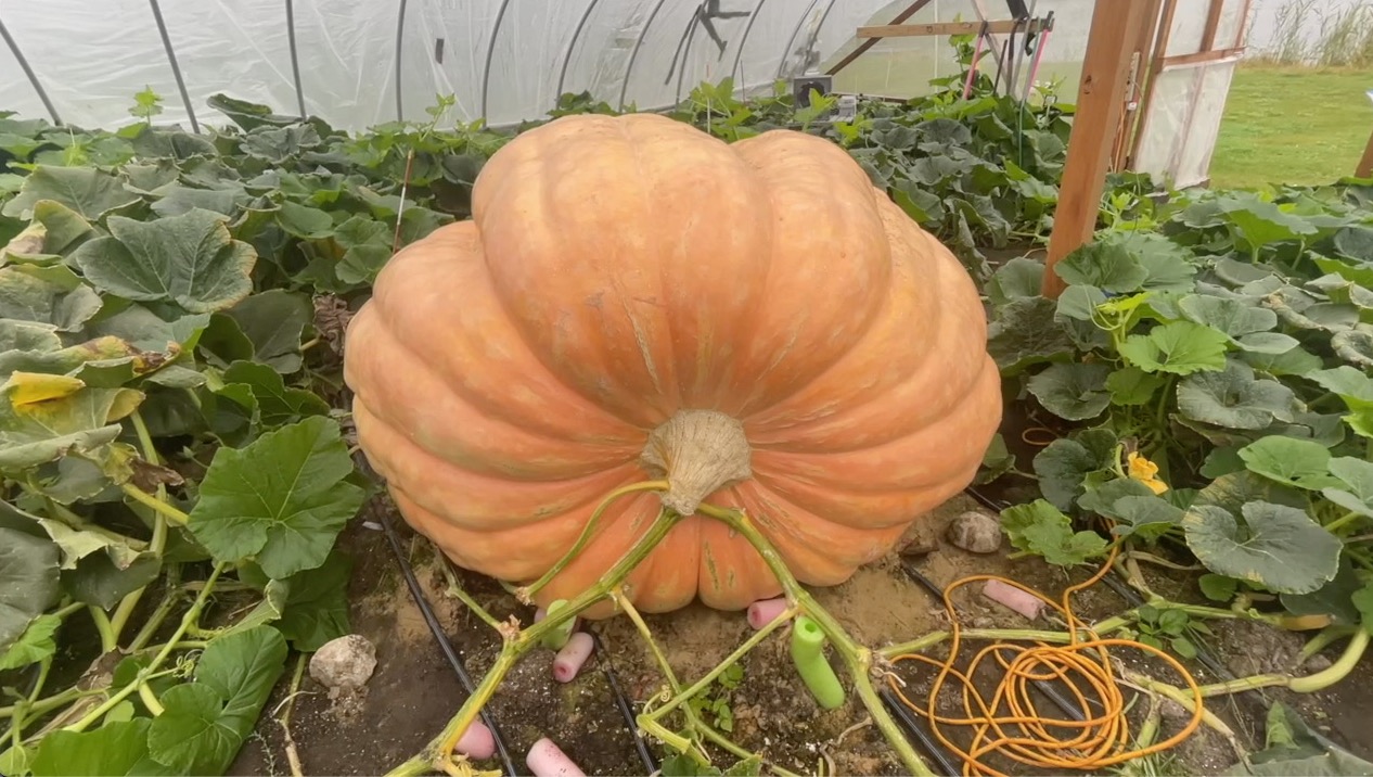 Screenshot 2023-10-05 at 5.35.14 PM.jpg