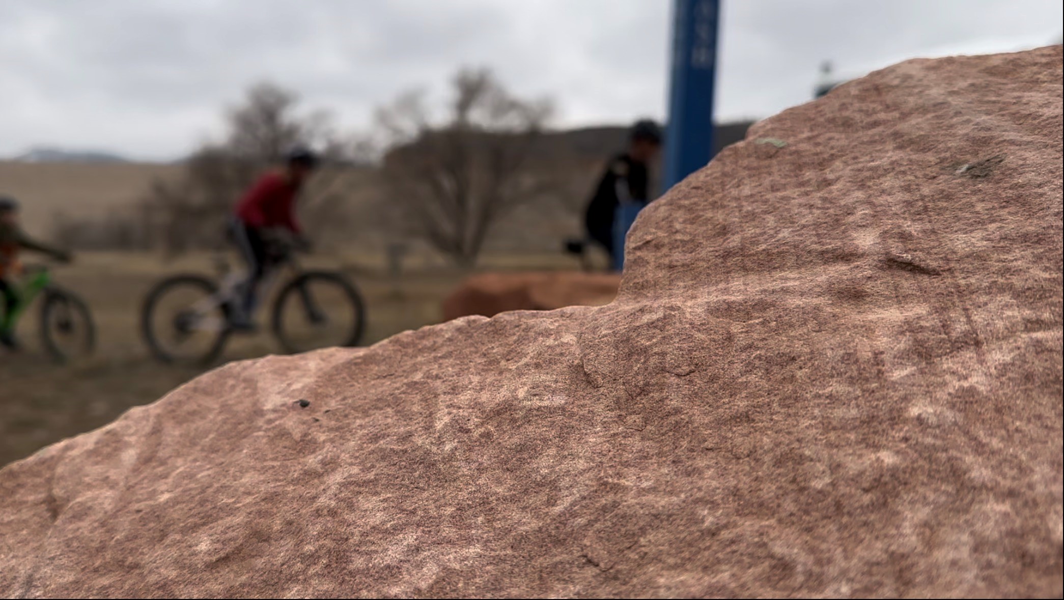 Mountain biking in Fort Collins