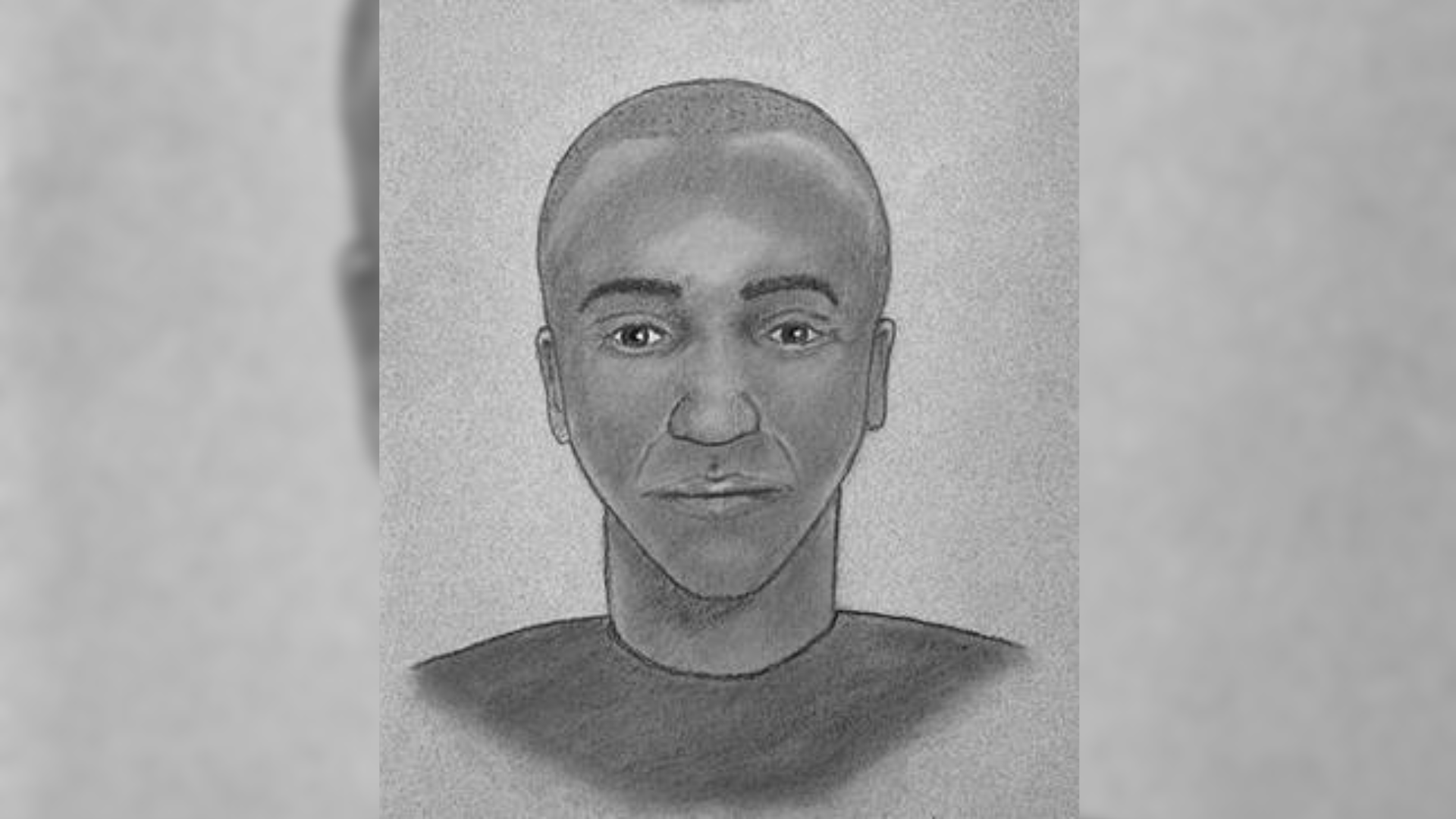 Suspect Sketch