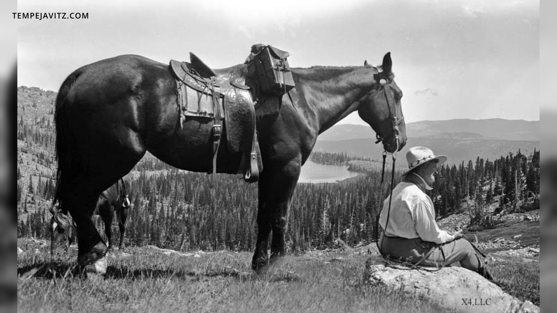 A photo of Jessamine and her horse