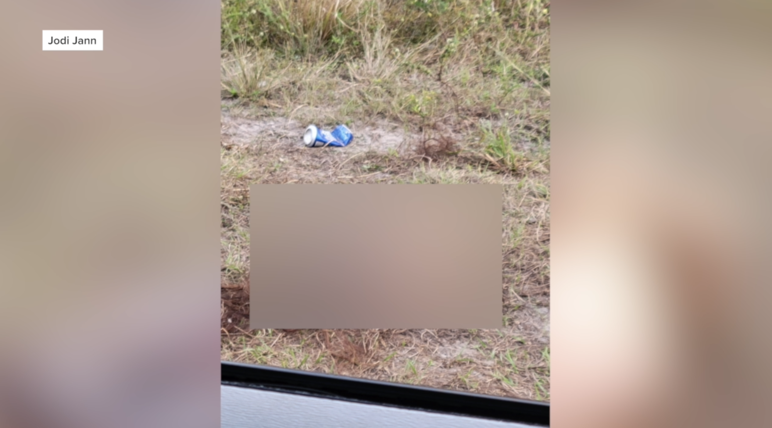 Horse remains found in quiet Lehigh Acres neighborhood leaves neighbors shocked 