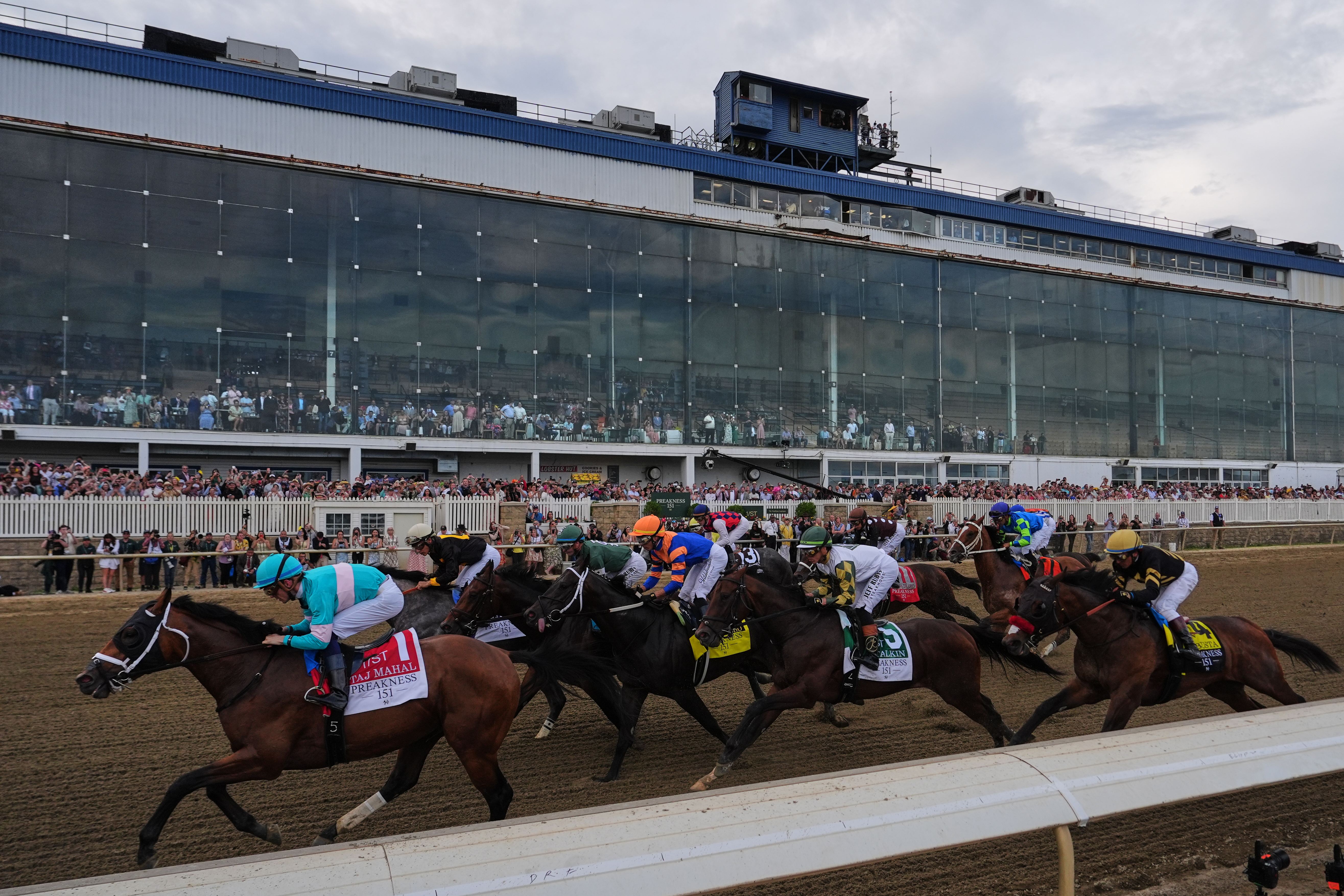 APTOPIX Preakness Horse Racing