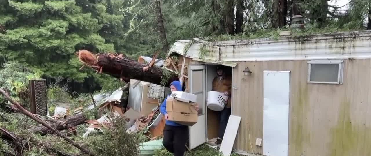 Sonoma County tree fall