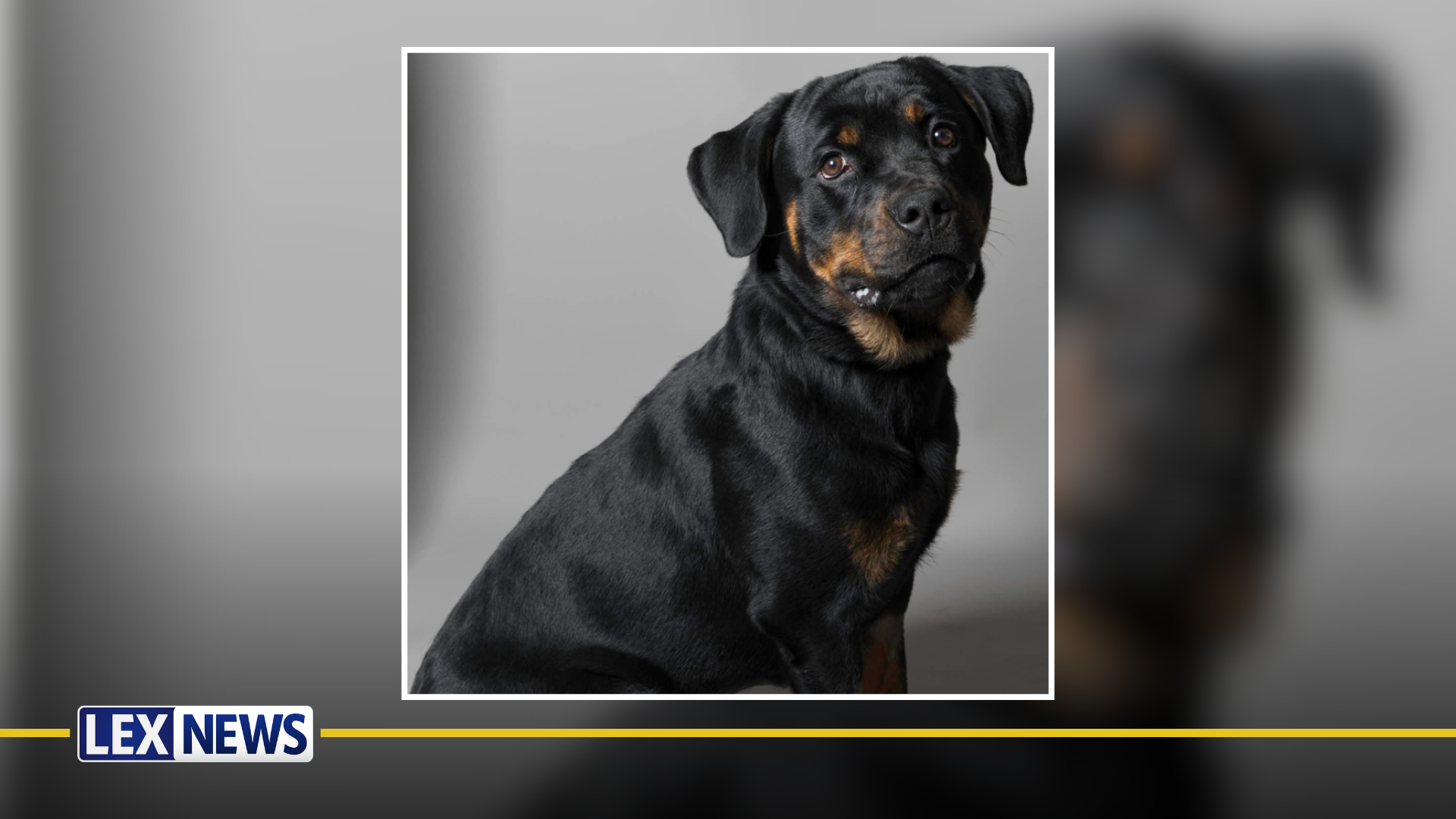 Featured Image Custom Edit - 2026-06-17T141504.243.png