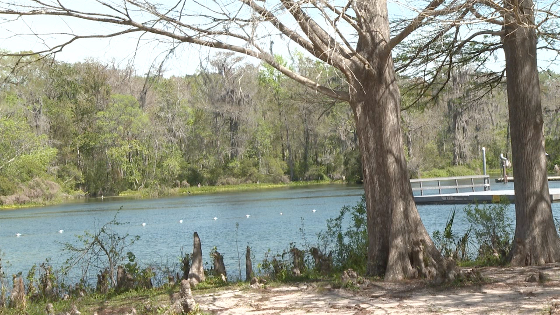 Wakulla Springs