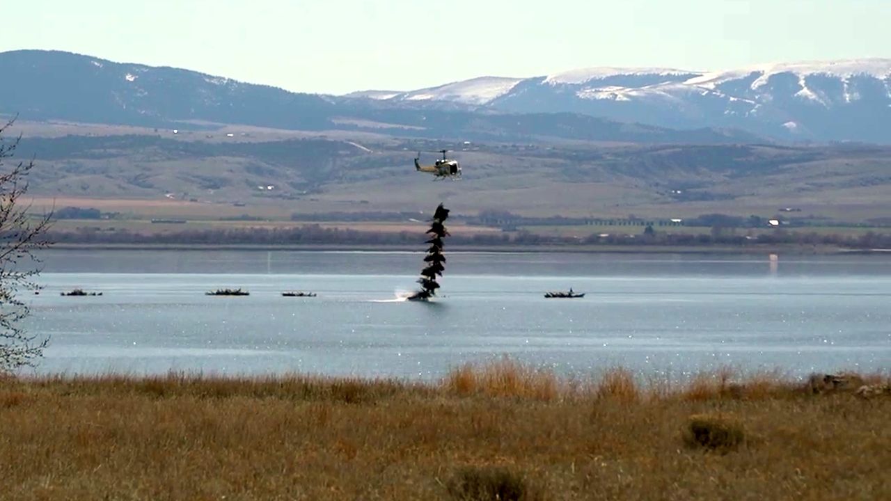 'Pines For Perch' provides fish habitat in Montana