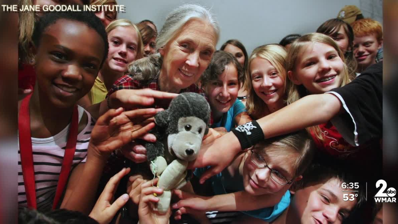 The Jane Goodall Institute