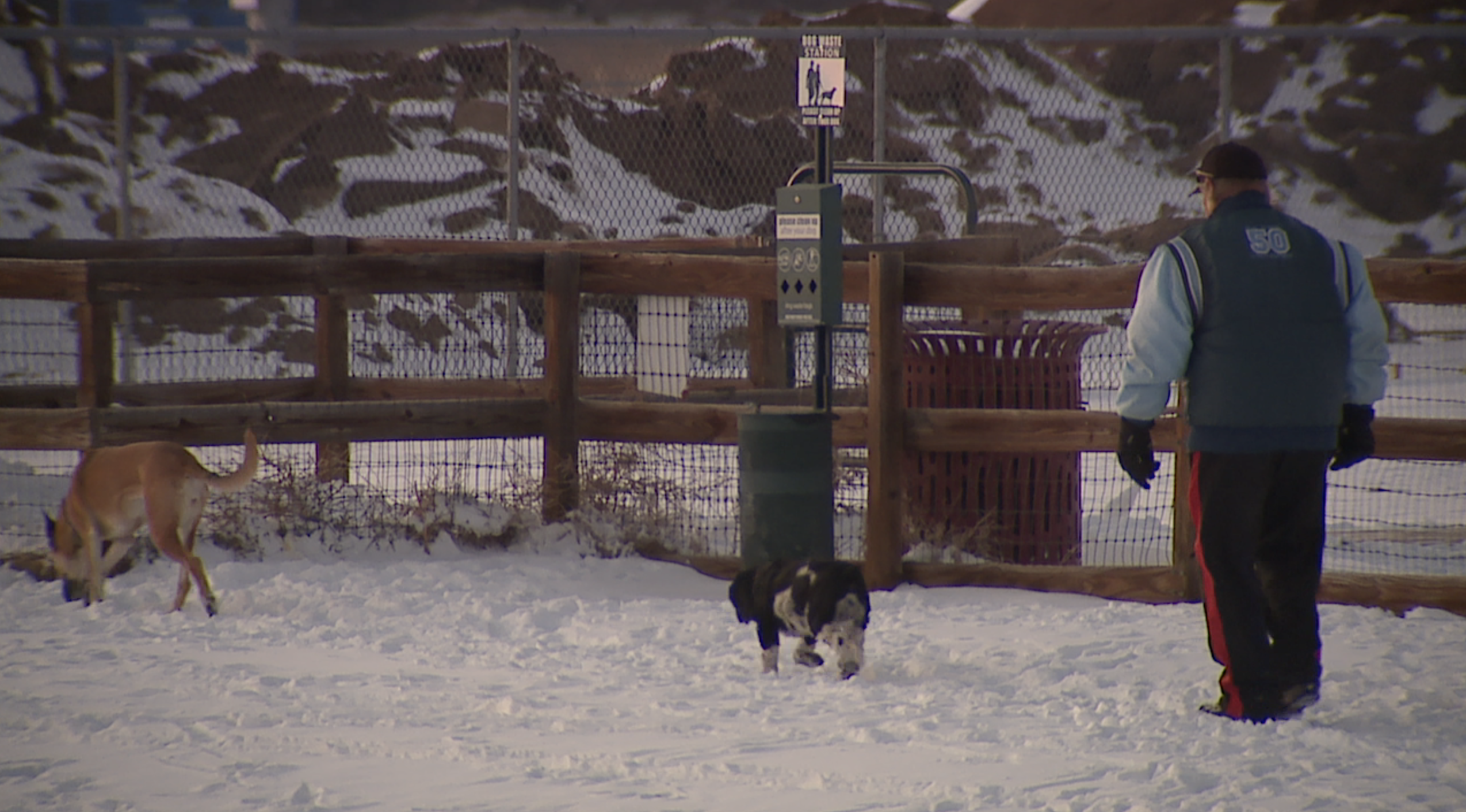 Visitors to Happy Tails Dog Park in Brighton