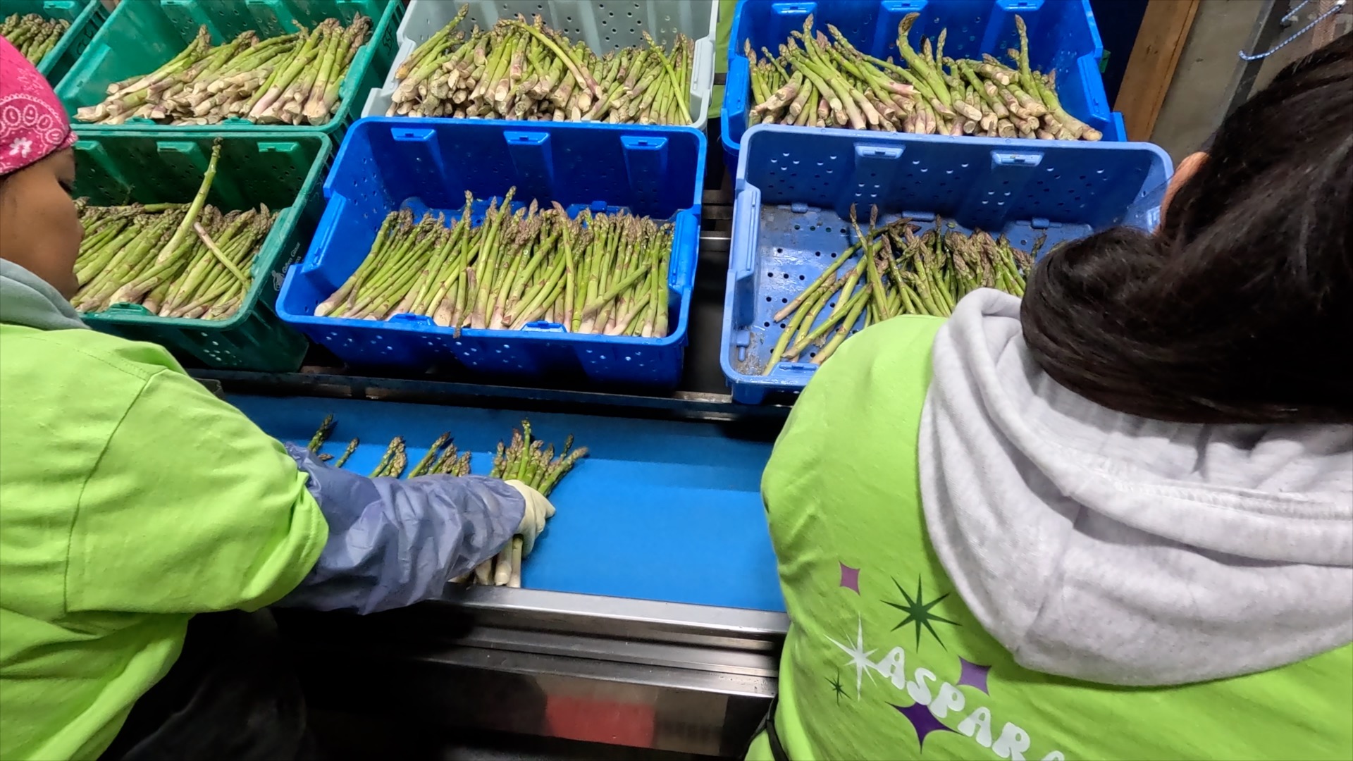 OWYHEE PRODUCE ASPARAGUS FESTIVAL pic.jpg