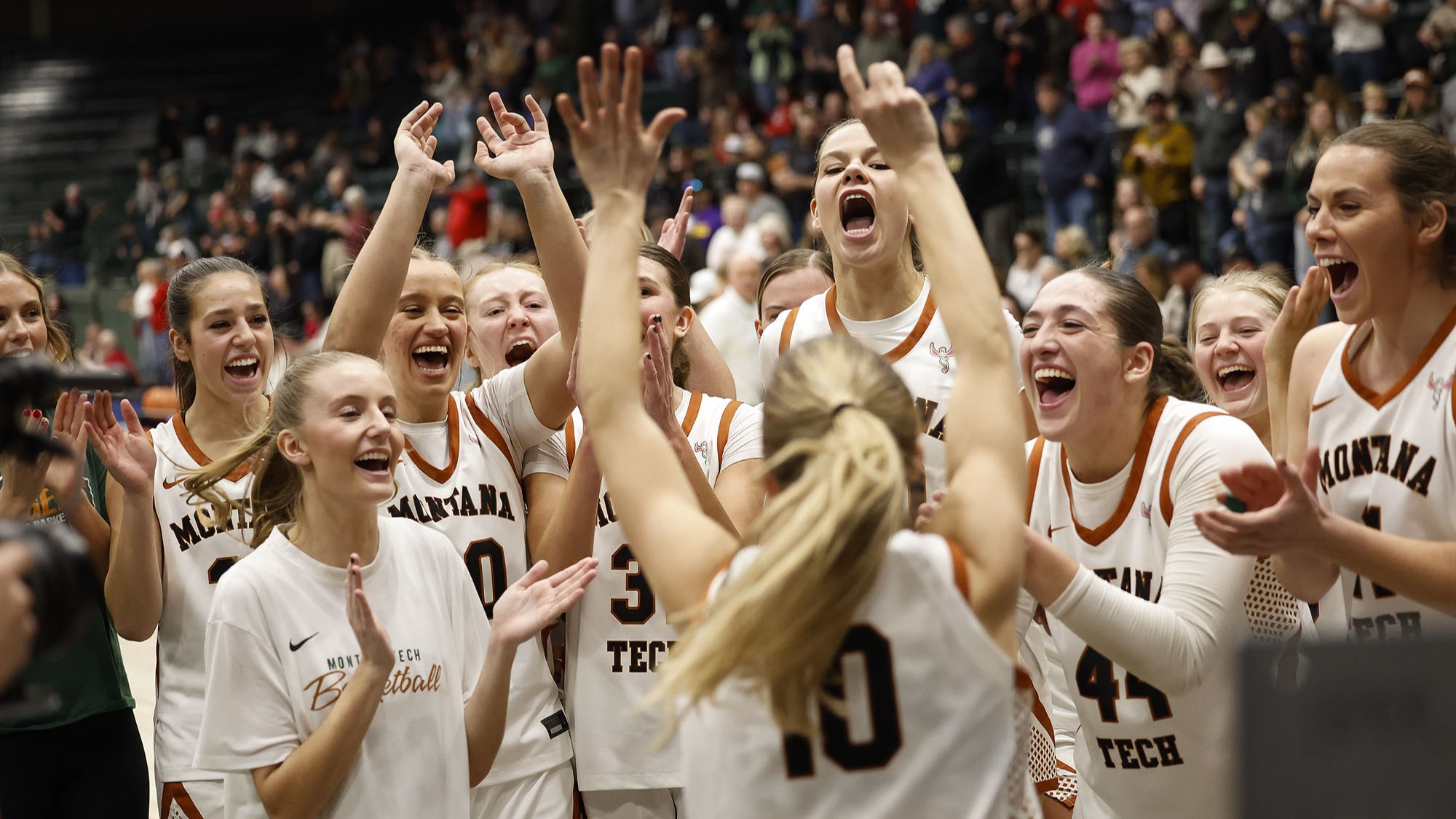 Montana Tech women's basketball