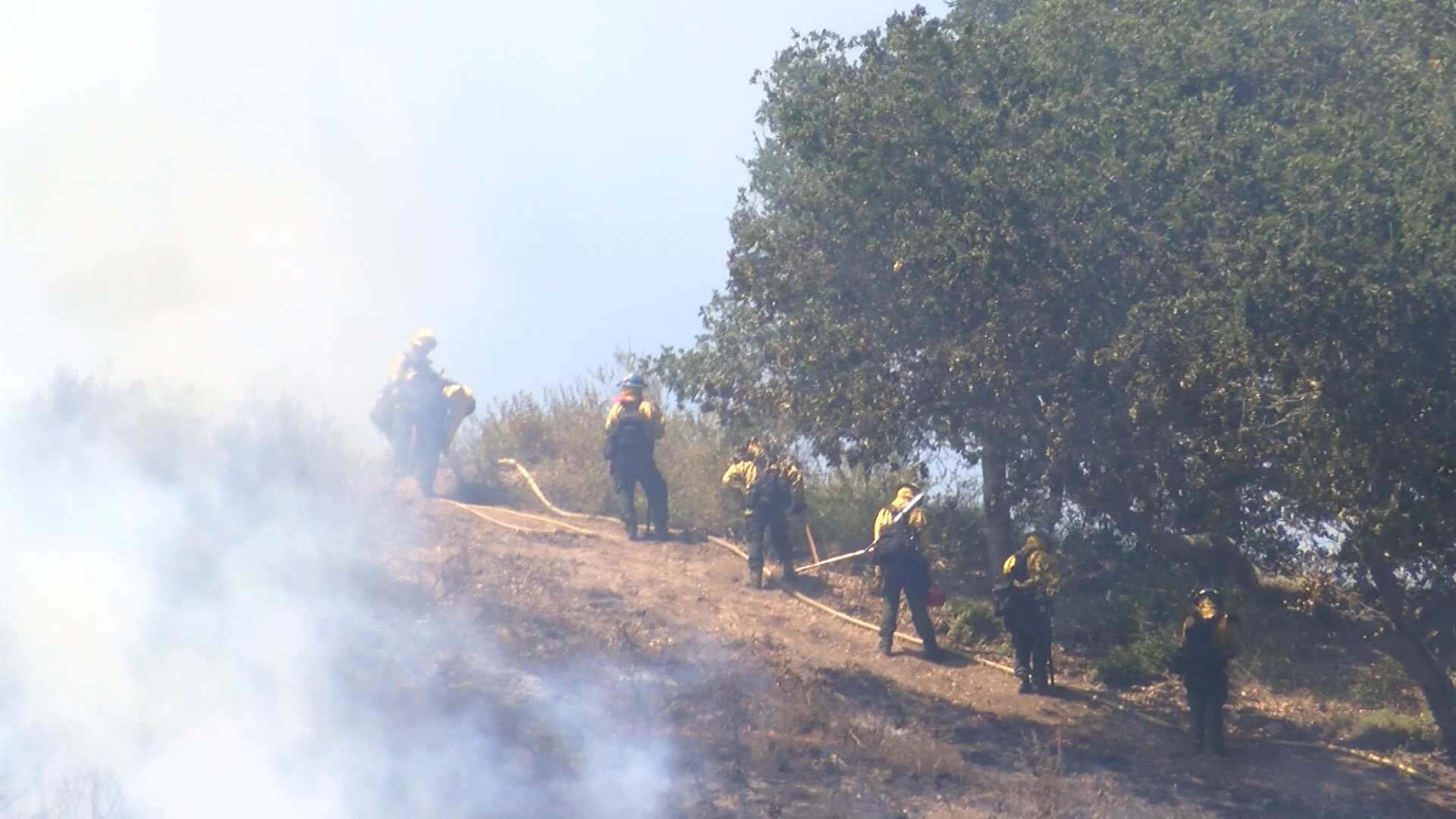 prescribed burns .jpg