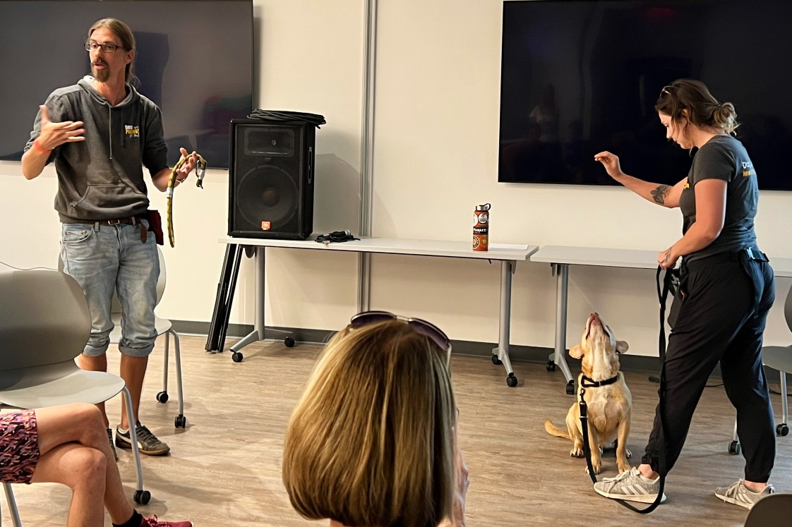 Dogs Playing for Life trainers work with a pup as part of a demonstration