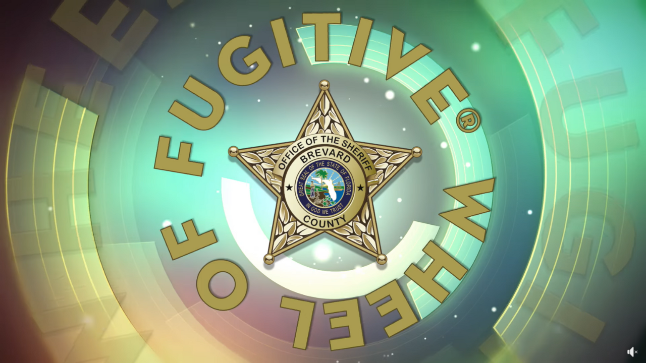 Screenshot from Brevard County Sheriff's Office's "Wheel of Fugitives"
